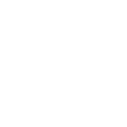 BF Group Cars